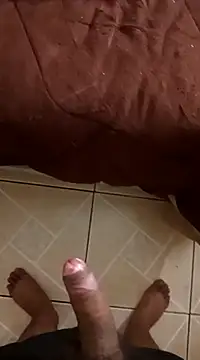 pedritolobito online show from December 30, 12:20 pm