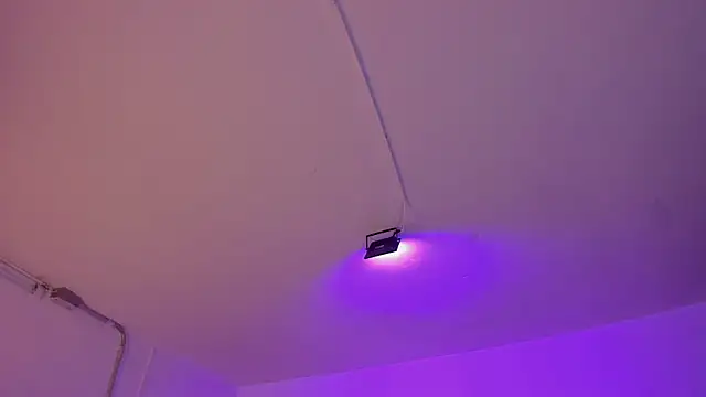 Amy Kiitty  online show from January 7, 12:40 pm