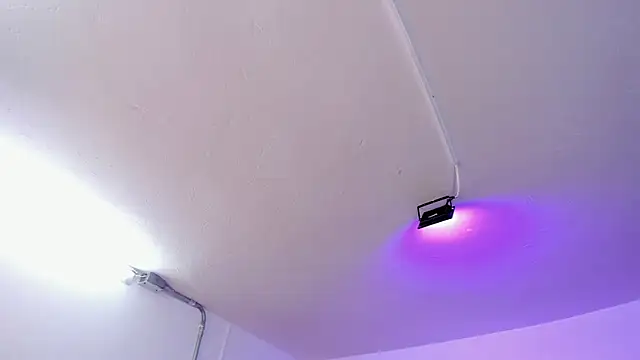 Amy Kiitty  online show from February 15, 12:58 pm