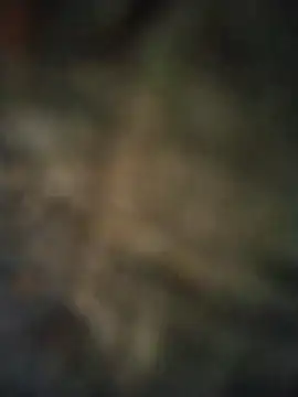 axelongshaft69 online show from April 7, 6:52 pm