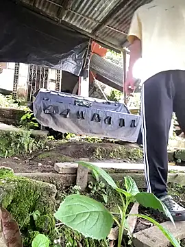 Jestebanano online show from March 11, 4:13 pm