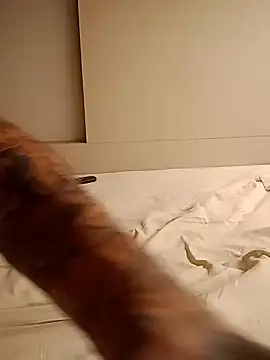 rolesexy online show from January 19, 2:47 am