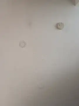 Snapshot of geilerschwanz64 chatting on January 5, 12:10 pm geilerschwanz64 online show from January 5, 12:10 pm