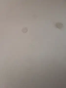 Snapshot of geilerschwanz64 chatting on January 9, 9:05 pm geilerschwanz64 online show from January 9, 9:05 pm