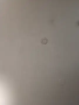 Snapshot of geilerschwanz64 chatting on January 15, 8:37 pm geilerschwanz64 online show from January 15, 8:37 pm