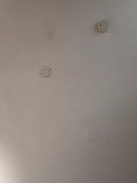 Snapshot of geilerschwanz64 chatting on January 18, 11:21 am geilerschwanz64 online show from January 18, 11:21 am