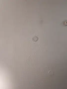 Snapshot of geilerschwanz64 chatting on February 2, 4:00 pm geilerschwanz64 online show from February 2, 4:00 pm