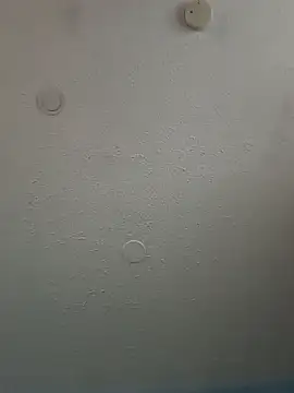 Snapshot of geilerschwanz64 chatting on February 3, 5:46 pm geilerschwanz64 online show from February 3, 5:46 pm