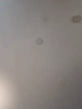 Snapshot of geilerschwanz64 chatting on February 19, 7:05 pm geilerschwanz64 online show from February 19, 7:05 pm