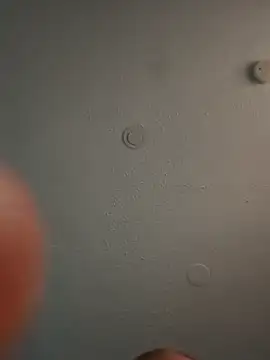 Snapshot of geilerschwanz64 chatting on March 3, 5:50 pm geilerschwanz64 online show from March 3, 5:50 pm