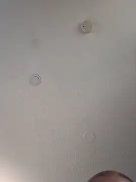 Snapshot of geilerschwanz64 chatting on March 14, 8:17 pm geilerschwanz64 online show from March 14, 8:17 pm