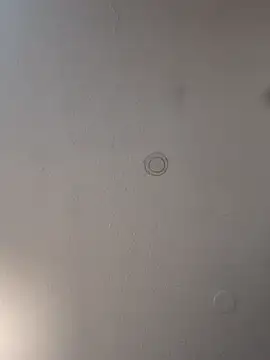 Snapshot of geilerschwanz64 chatting on March 19, 12:59 am geilerschwanz64 online show from March 19, 12:59 am