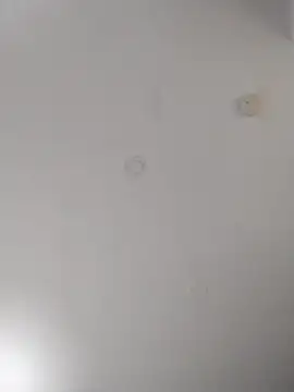 Snapshot of geilerschwanz64 chatting on September 22, 7:05 pm geilerschwanz64 online show from September 22, 7:05 pm