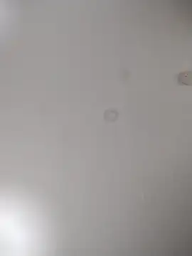 Snapshot of geilerschwanz64 chatting on October 24, 7:05 am geilerschwanz64 online show from October 24, 7:05 am