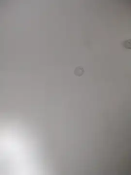 Snapshot of geilerschwanz64 chatting on October 30, 11:38 pm geilerschwanz64 online show from October 30, 11:38 pm