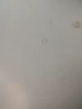 Snapshot of geilerschwanz64 chatting on November 26, 8:21 pm geilerschwanz64 online show from November 26, 8:21 pm