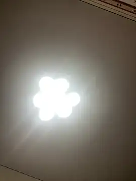 Snapshot of Janet_Welder chatting on December 19, 6:56 pm Janet Welder online show from December 19, 6:56 pm