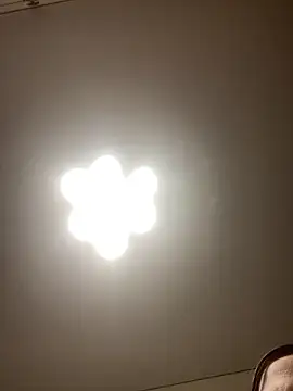 Snapshot of Janet_Welder chatting on November 27, 12:24 am Janet Welder online show from November 27, 12:24 am