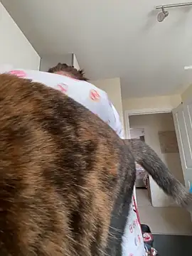 Tallulah-mae-xoxox online show from April 14, 10:21 am