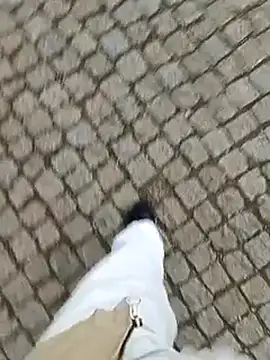 Snapshot of domexib chatting on February 15, 5:39 pm domexib online show from February 15, 5:39 pm