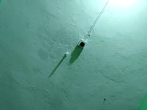 Snapshot of RADHAHO chatting on November 2, 9:50 pm RADHAHO online show from November 2, 9:50 pm