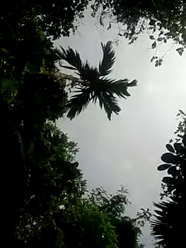 kumaricapalsex2 online show from January 26, 5:34 am