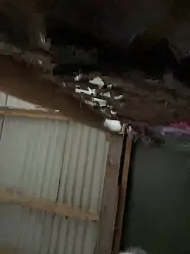 Snapshot of Masked-Minx-Mia chatting on December 6, 3:22 pm Masked-Minx-Mia online show from December 6, 3:22 pm