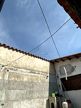 Leo bunny hot online show from October 2, 6:48 pm