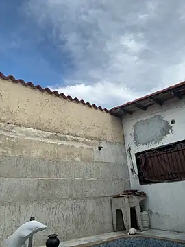 Leo bunny hot online show from October 13, 8:42 pm