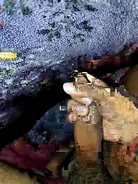 Snapshot of Kolkataboiy chatting on September 24, 2:59 am Kolkataboiy online show from September 24, 2:59 am