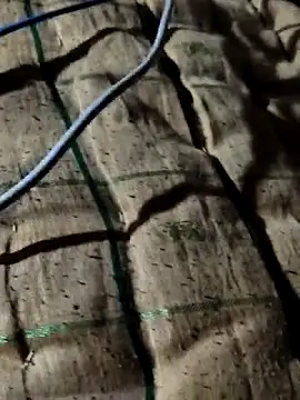 Snapshot of Kolkataboiy chatting on October 2, 10:50 pm Kolkataboiy online show from October 2, 10:50 pm