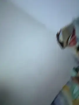 Snapshot of SweetBonniie chatting on November 3, 12:02 am SweetBonniie online show from November 3, 12:02 am