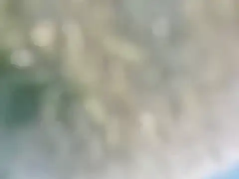 Snapshot of nikol_sexy39 chatting on January 18, 9:45 pm nikol sexy39 online show from January 18, 9:45 pm