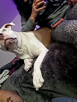 Snapshot of Jokergotherwett chatting on March 3, 8:09 am Jokergotherwett online show from March 3, 8:09 am