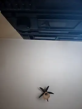 vulpe8400 online show from April 8, 10:10 pm