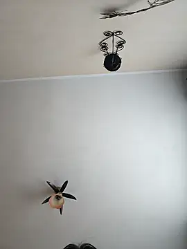 vulpe8400 online show from April 18, 9:02 am