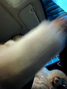 Snapshot of SukyGirl chatting on January 4, 5:37 am SukyGirl online show from January 4, 5:37 am