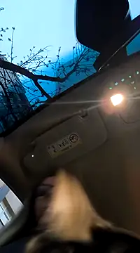 Snapshot of SukyGirl chatting on February 3, 5:40 am SukyGirl online show from February 3, 5:40 am