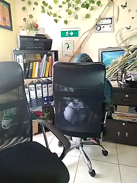 Snapshot of NAJWA-ARAB chatting on January 15, 2:24 pm NAJWA-ARAB online show from January 15, 2:24 pm