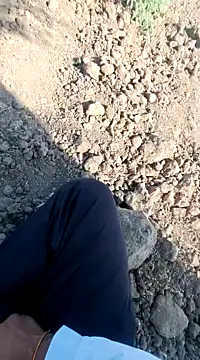 dickerdaddy25 online show from February 18, 4:26 am