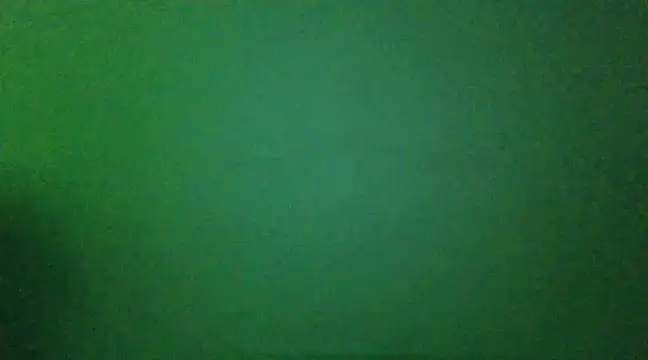 franciscordr online show from January 3, 5:17 am