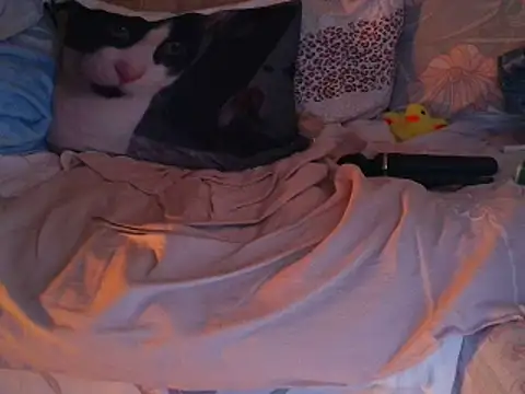 VeneRed online show from November 30, 7:51 pm