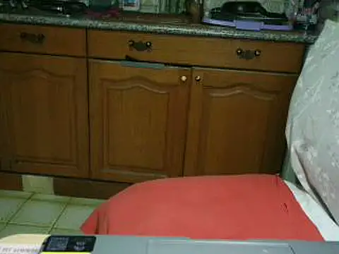 VeneRed online show from February 1, 10:52 pm