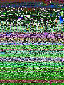 Snapshot of desiduzz21 chatting on February 22, 11:24 am desiduzz21 online show from February 22, 11:24 am