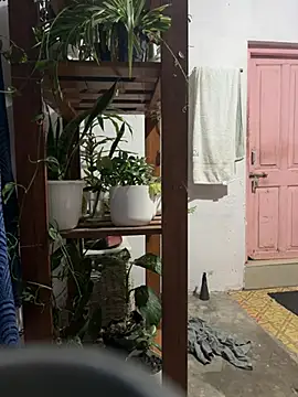 alburt 1996 online show from January 16, 3:02 pm