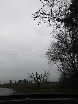 Snapshot of nataliecdlive chatting on November 22, 11:09 am nataliecdlive online show from November 22, 11:09 am