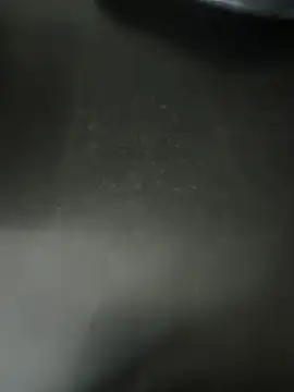 Anamika Kapoor online show from January 16, 6:23 pm