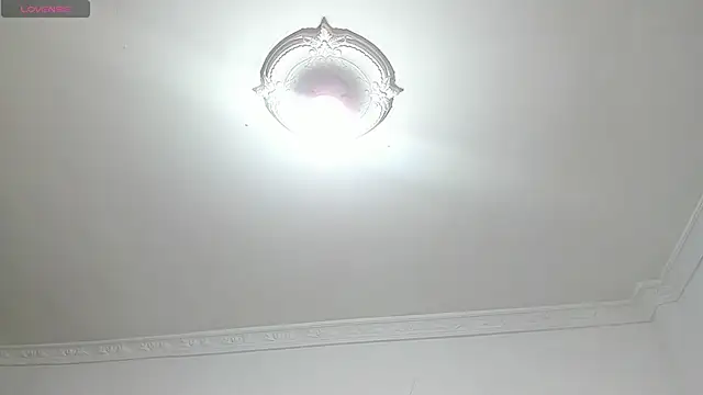 Snapshot of SofiaBosch chatting on December 21, 5:47 am SofiaBosch online show from December 21, 5:47 am