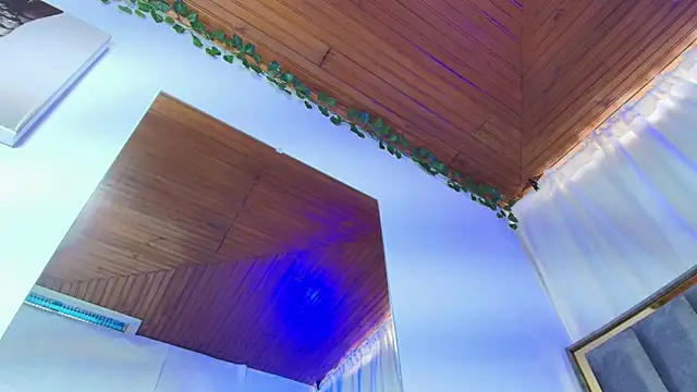 Snapshot of Naia_x chatting on December 1, 8:47 pm Naia x online show from December 1, 8:47 pm