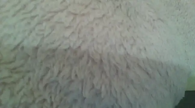 Snapshot of samanta0033 chatting on December 2, 9:17 pm samanta0033 online show from December 2, 9:17 pm